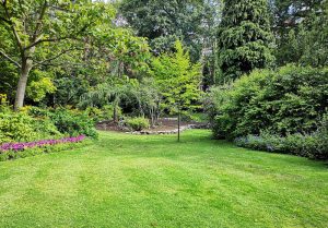 Optimiser l'expérience du jardin à Neuville-Vitasse